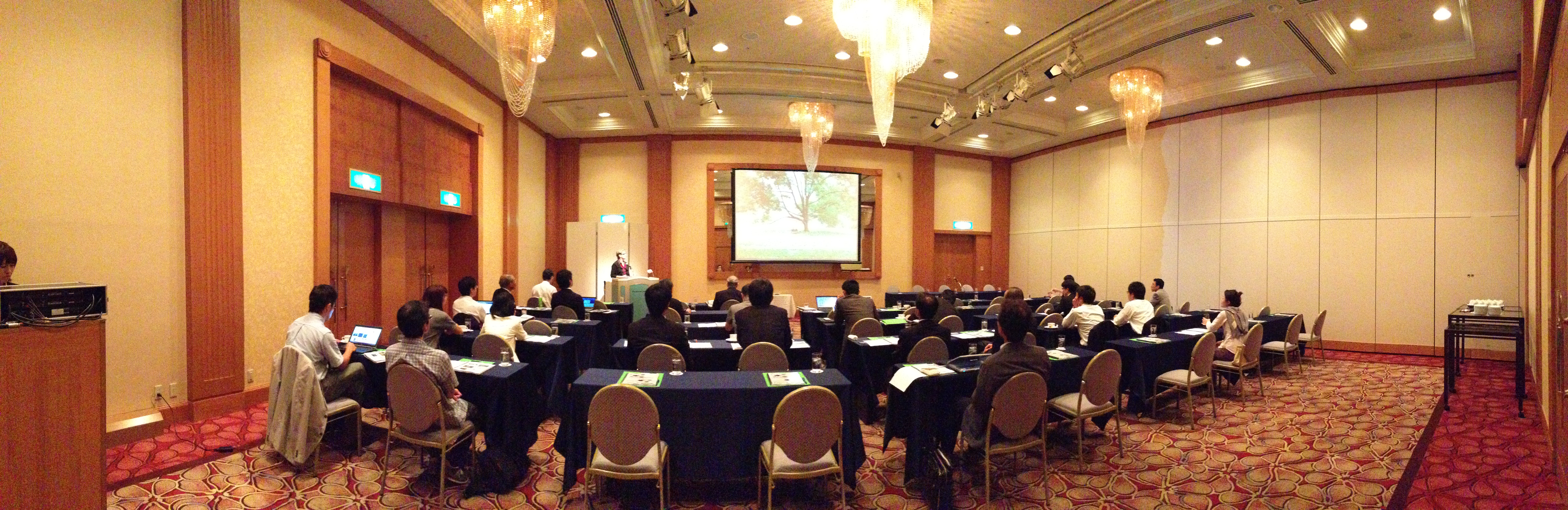EpiVax Westin Immunogenicity Seminar, Osaka, 2013